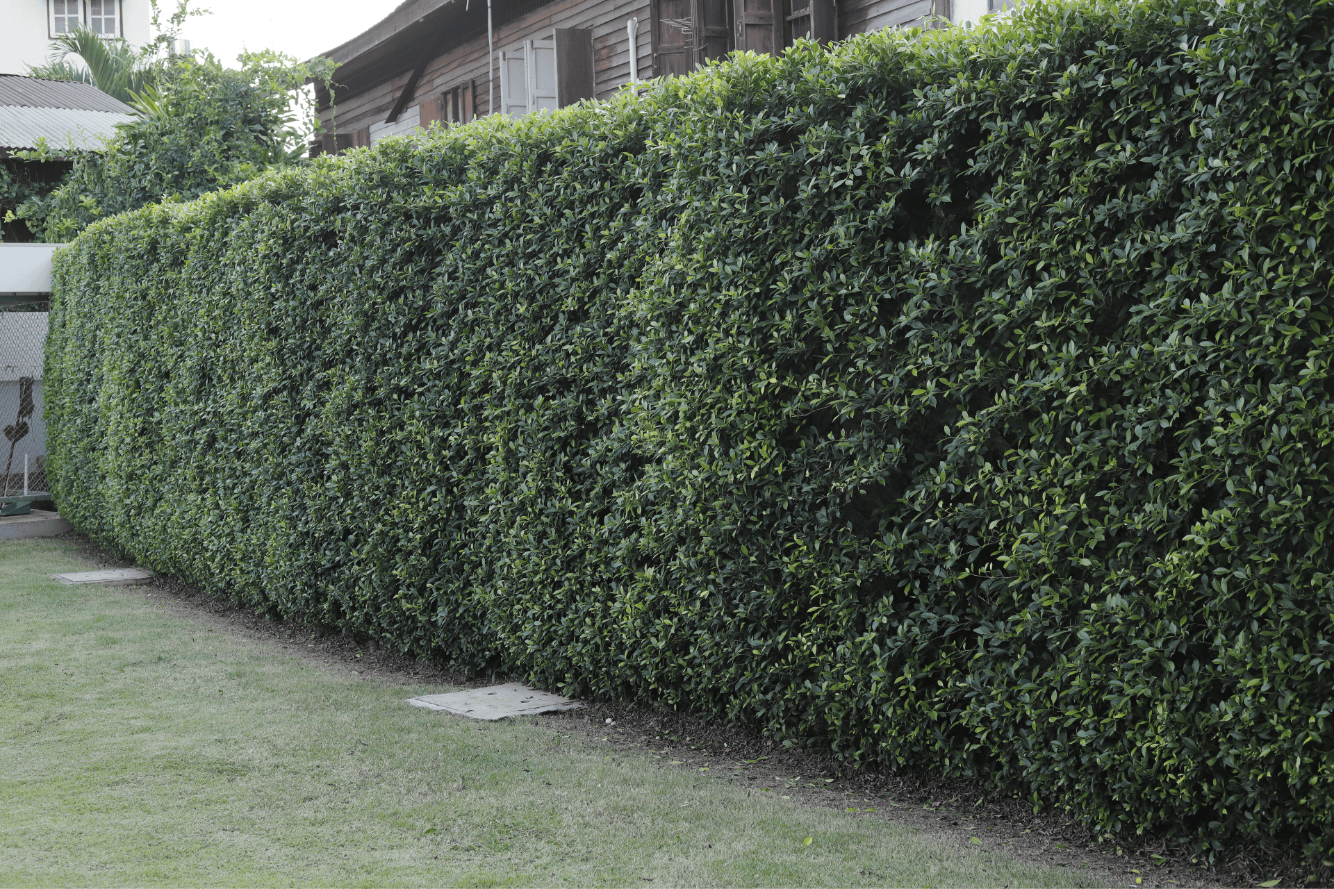 Shrub & Ornamental Maintenance in Louisville OH